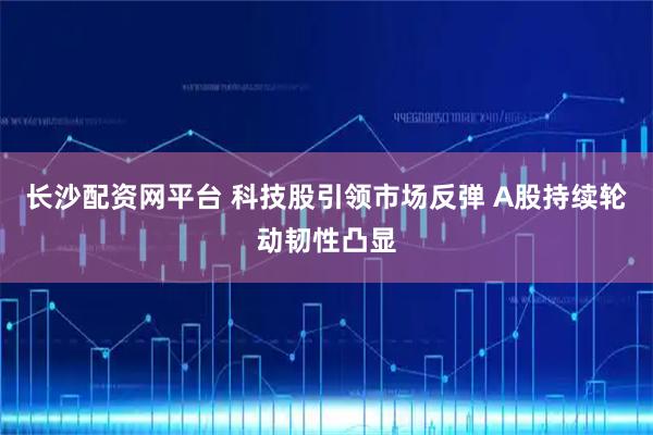 长沙配资网平台 科技股引领市场反弹 A股持续轮动韧性凸显