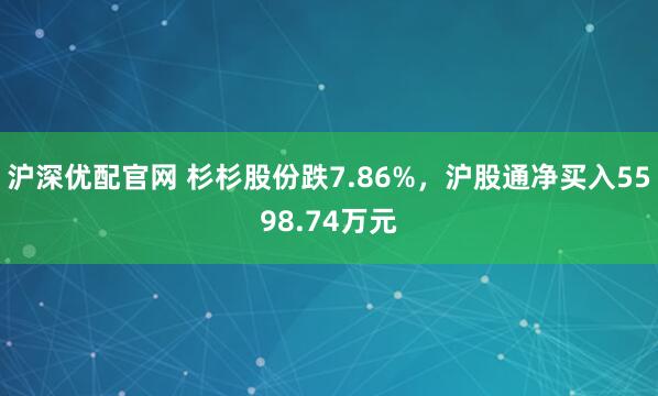 沪深优配官网 杉杉股份跌7.86%，沪股通净买入5598.74万元