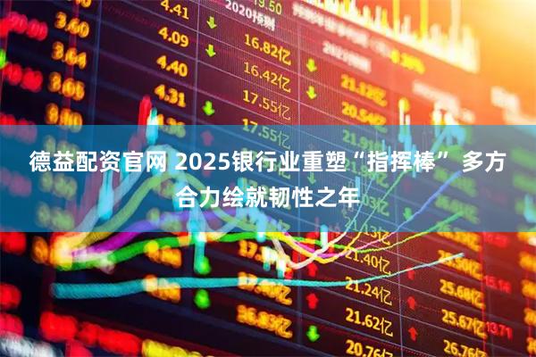 德益配资官网 2025银行业重塑“指挥棒” 多方合力绘就韧性之年