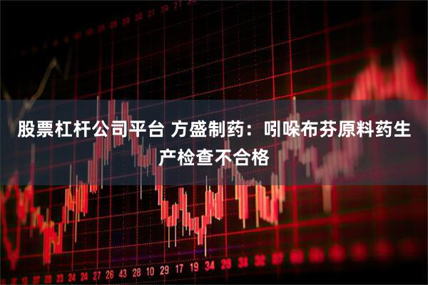 股票杠杆公司平台 方盛制药：吲哚布芬原料药生产检查不合格