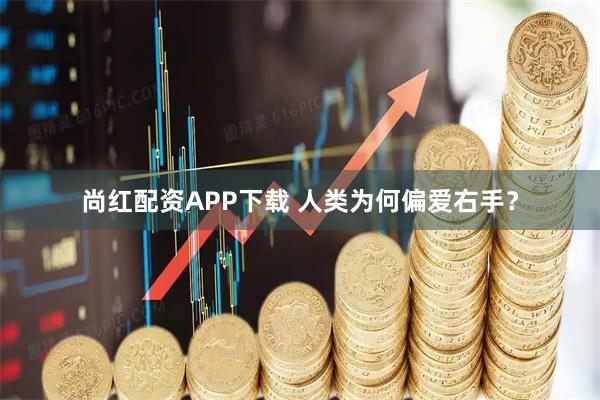 尚红配资APP下载 人类为何偏爱右手？